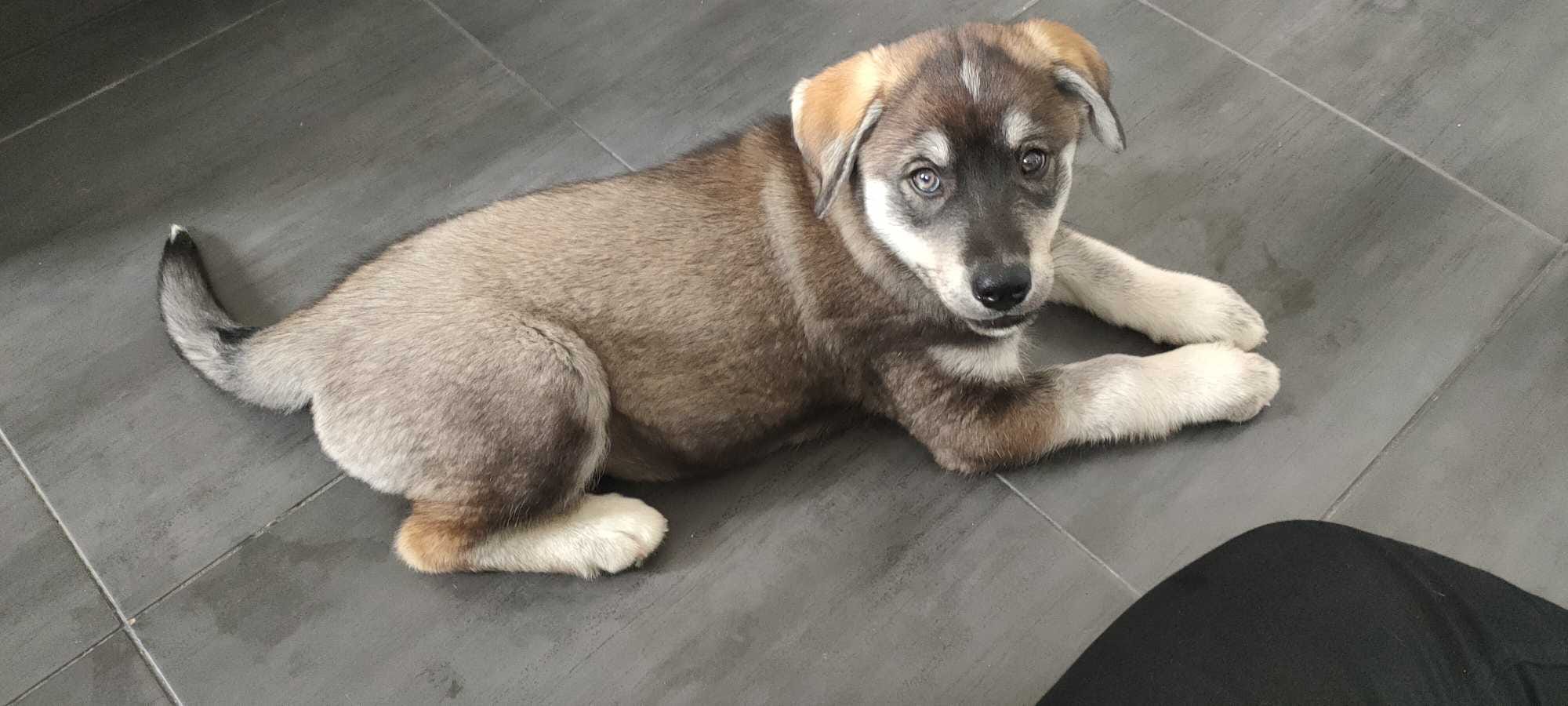 Miniature de la galerie