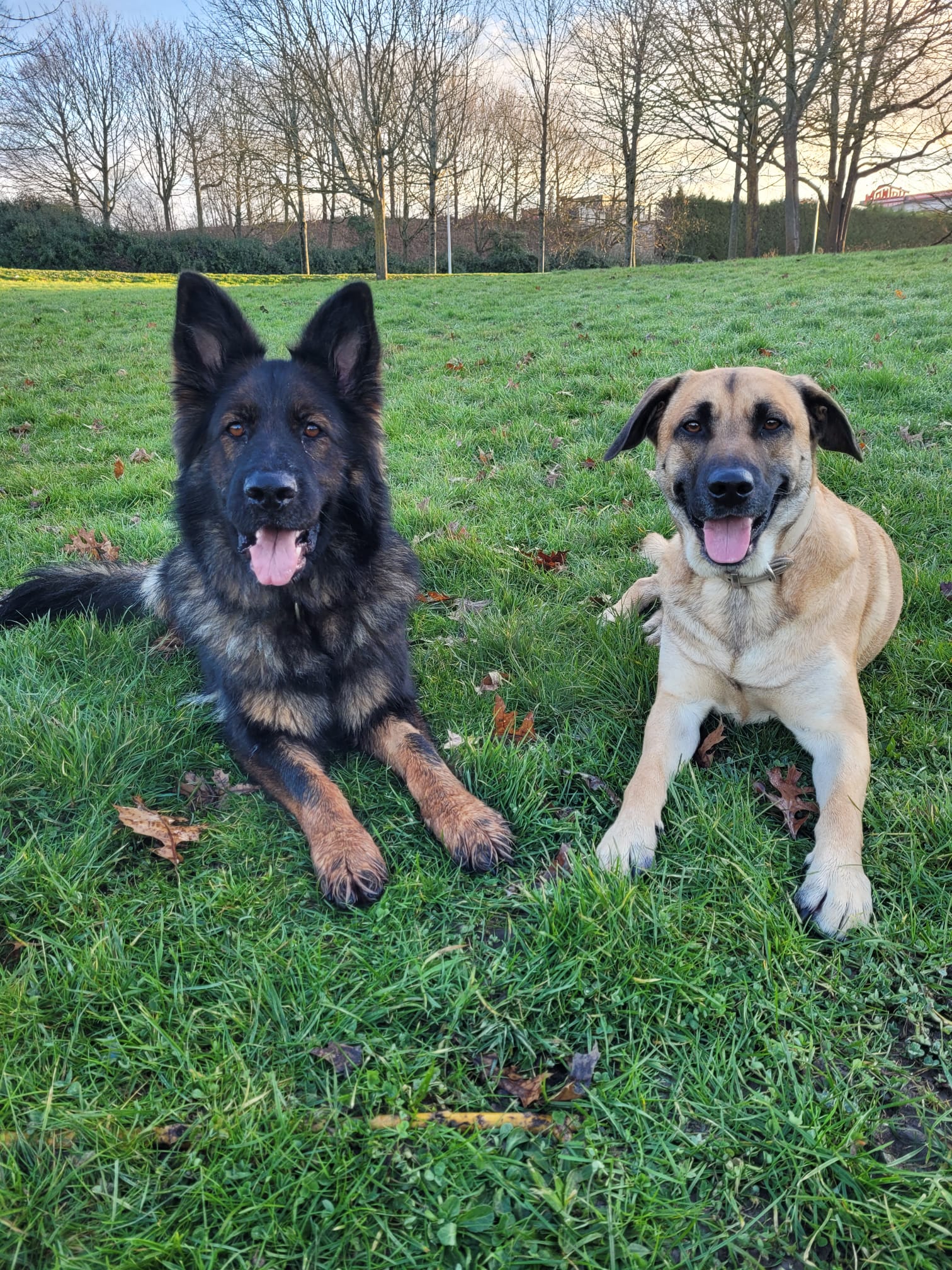 Miniature de la galerie