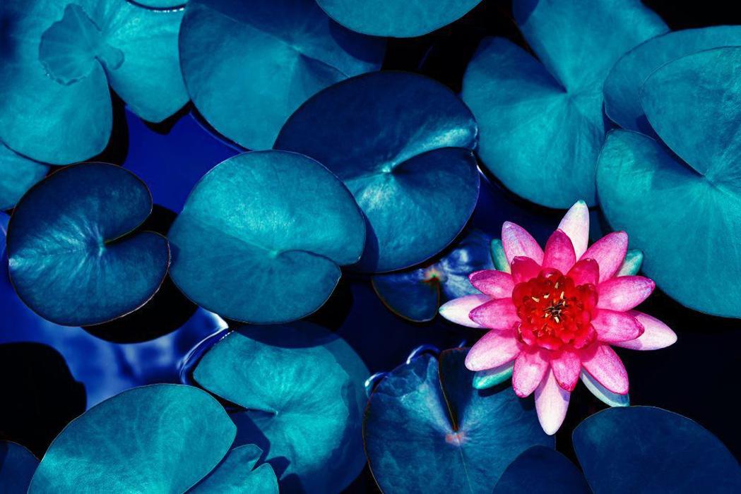 MHH Massage Therapy - Tewksbury, MA