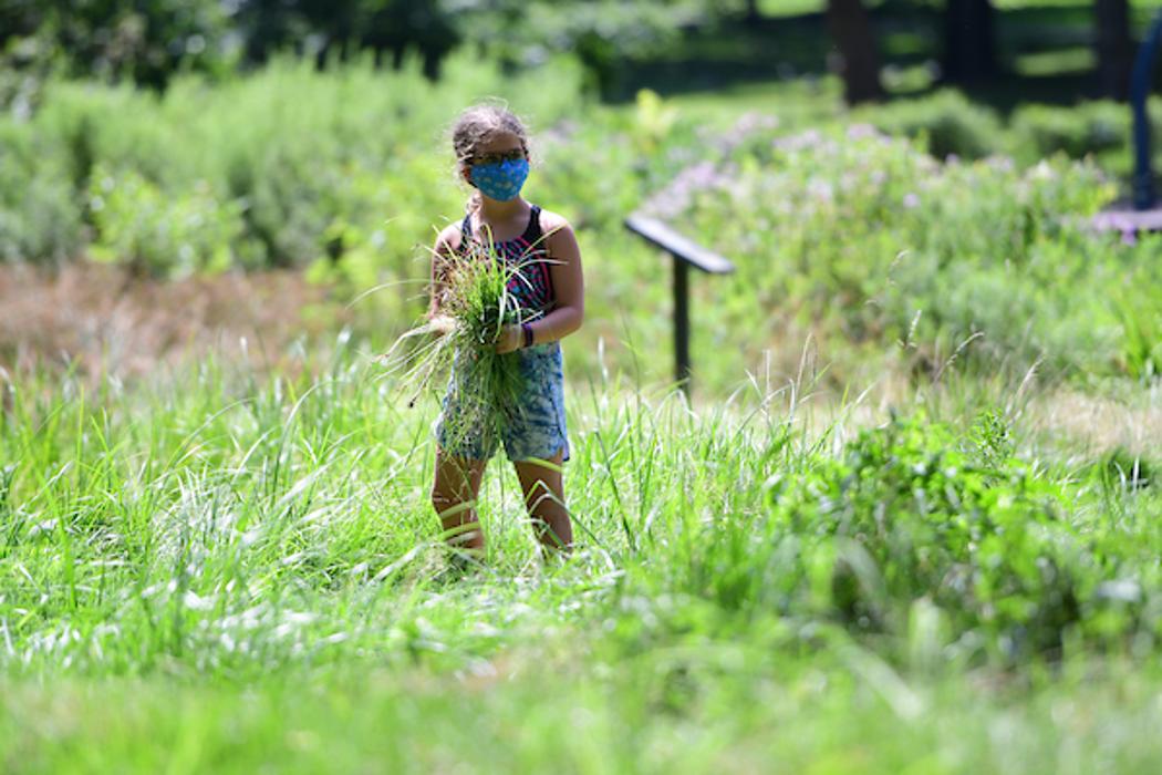 ABINGTON FRIENDS SCHOOL - Jenkintown, PA