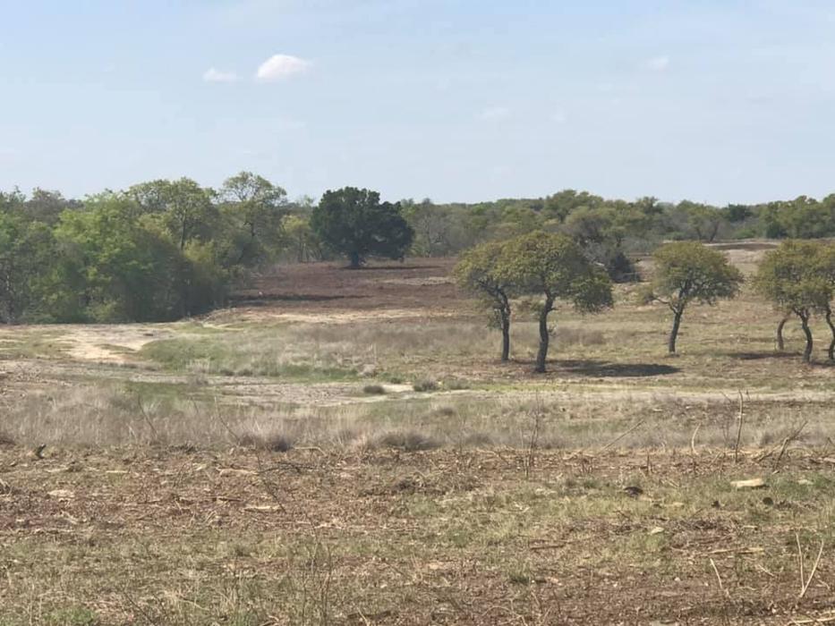 Lonestar Ranch Services - Millsap, TX