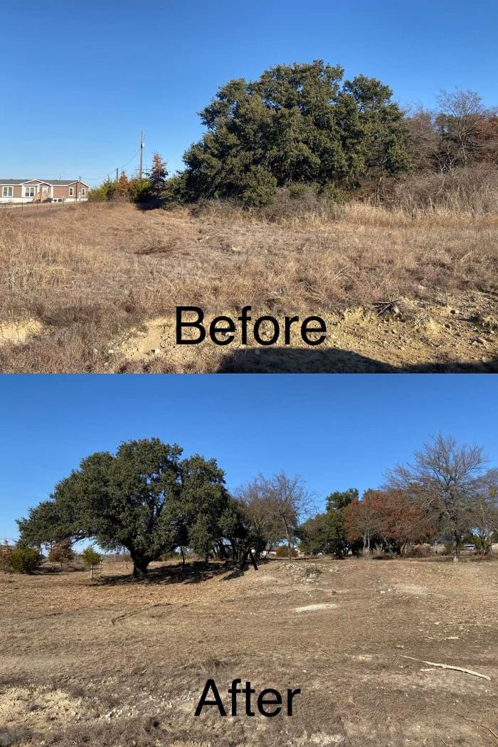 Lonestar Ranch Services - Millsap, TX