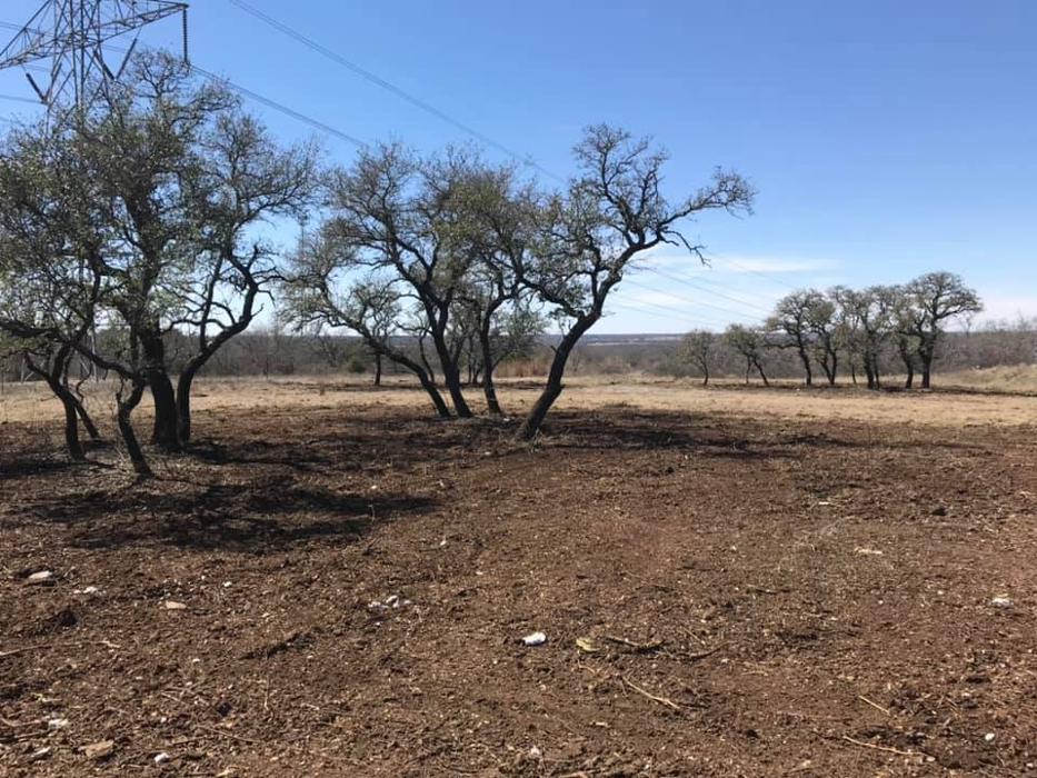 Lonestar Ranch Services - Millsap, TX