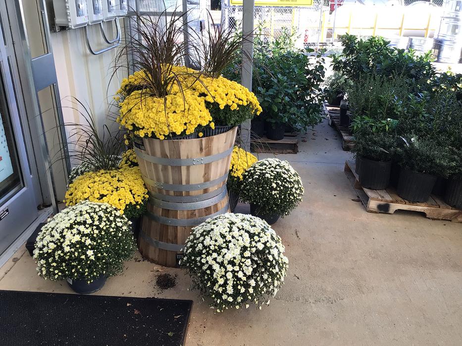 Tractor Supply Co. - Daingerfield, TX