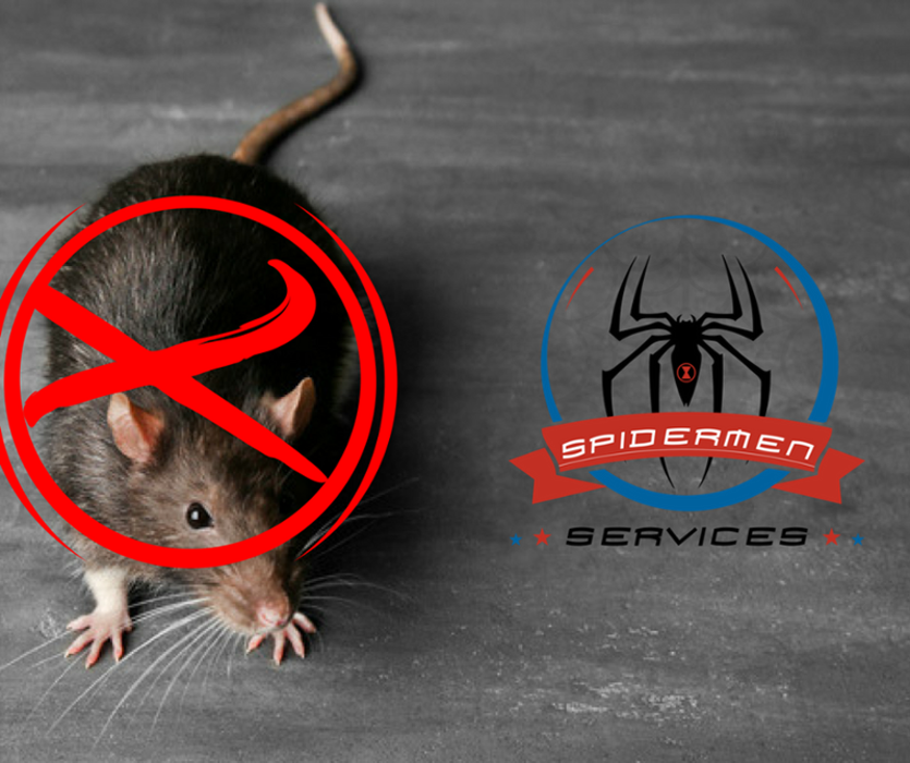 Spidermen Services - Royse City, TX