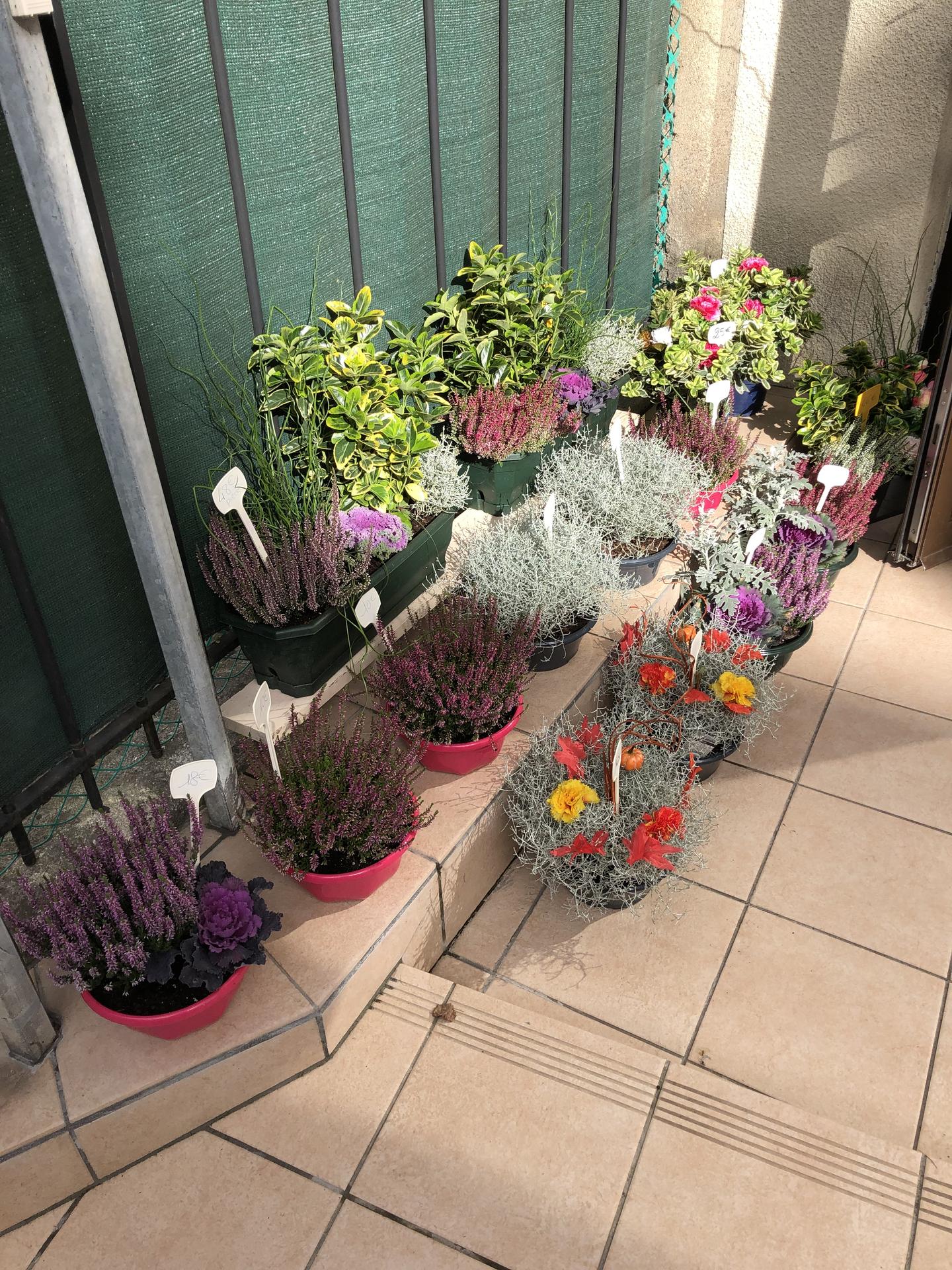 galerie image galerie image