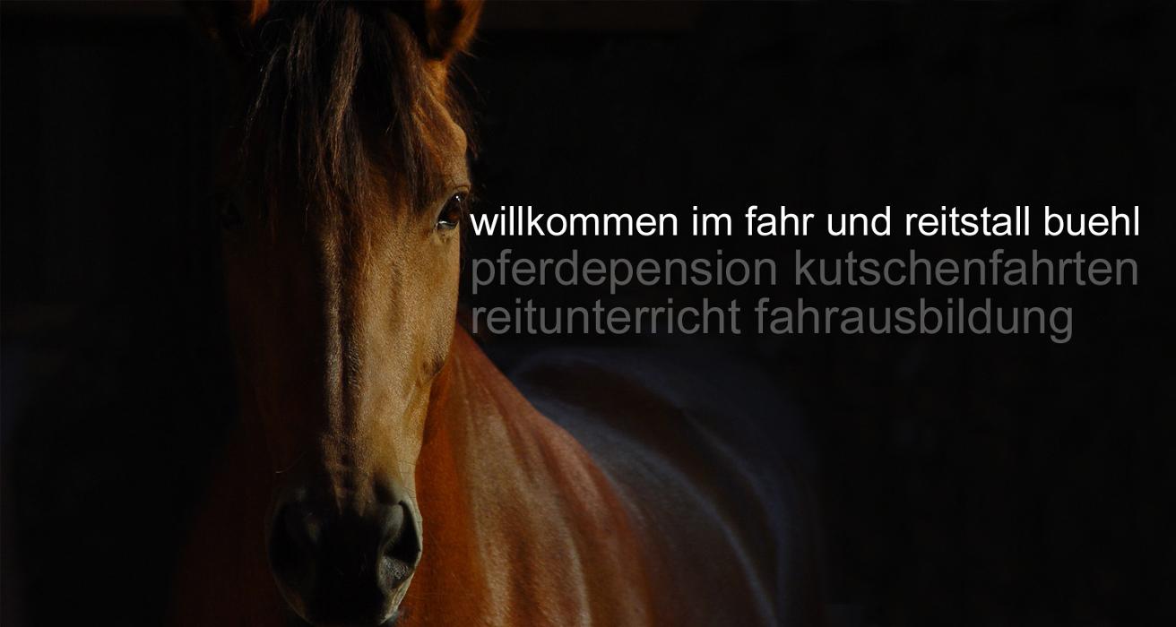 Reitstall Bühl, Zälgli in Bühl