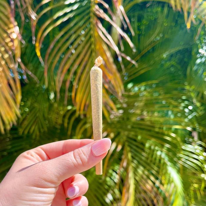 Cannabist Dispensary - Stuart, FL