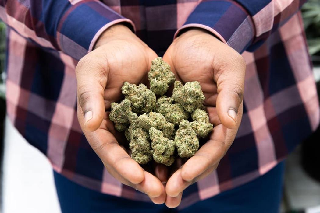 Cannabist Dispensary - Stuart, FL
