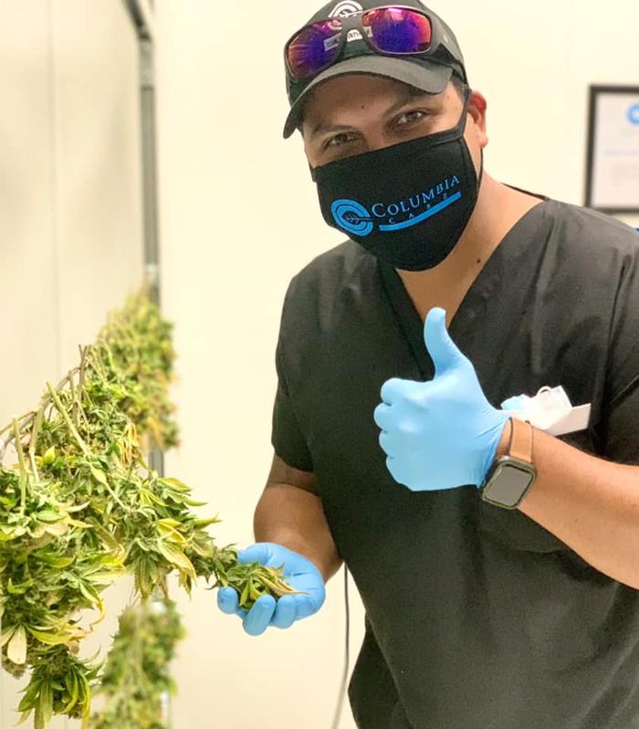 Cannabist Dispensary - Stuart, FL