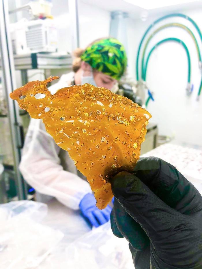 Cannabist Dispensary - Stuart, FL