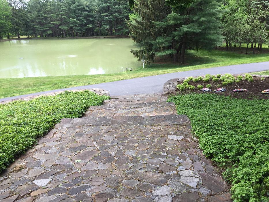 Furey Power LLC - Mohnton, PA