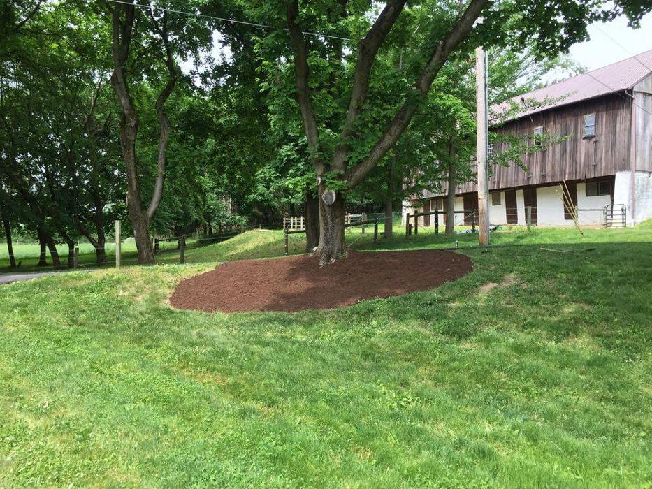 Furey Power LLC - Mohnton, PA