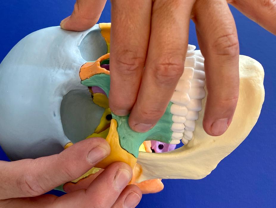 Naturheilpraxis Anita Widlitzek, Frohlinder Straße in Dortmund