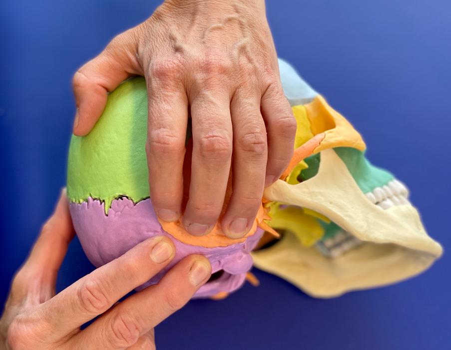 Naturheilpraxis Anita Widlitzek, Frohlinder Straße in Dortmund