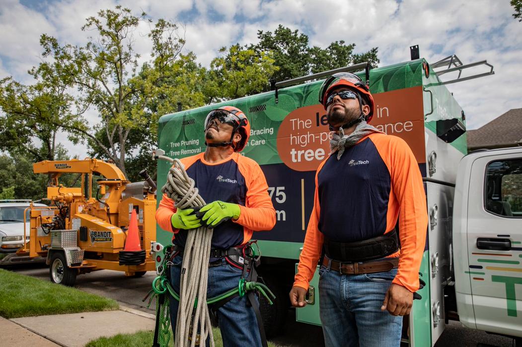 TreeTech TX - Plano, TX