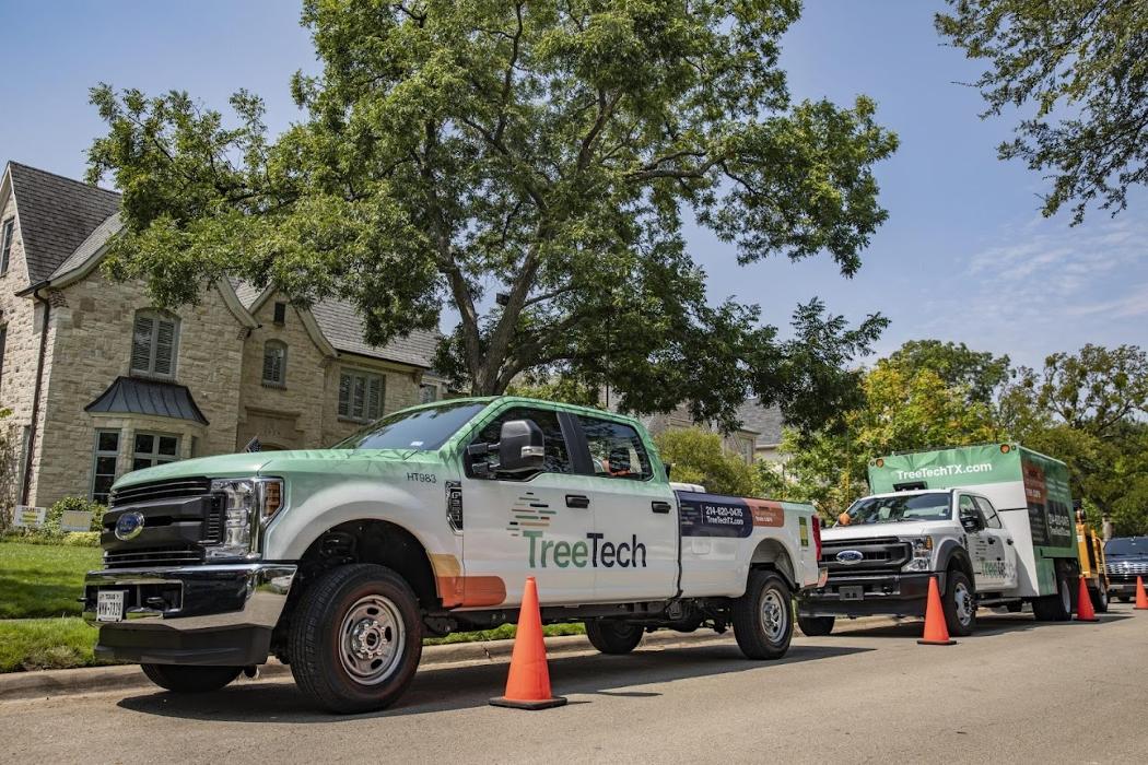 TreeTech TX - Plano, TX