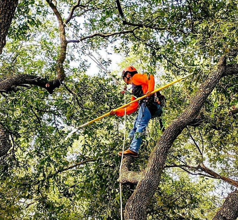 TreeTech TX - Plano, TX