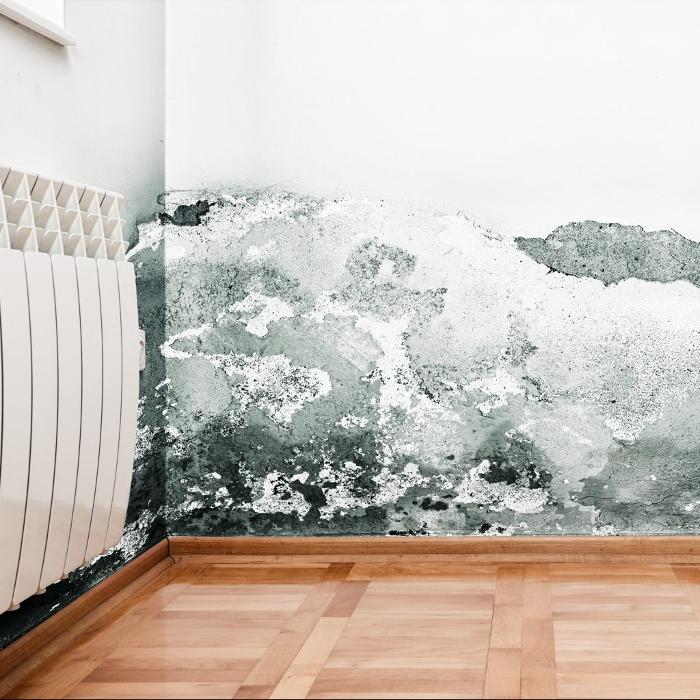 Restore Experts Inc - Pompano Beach, FL