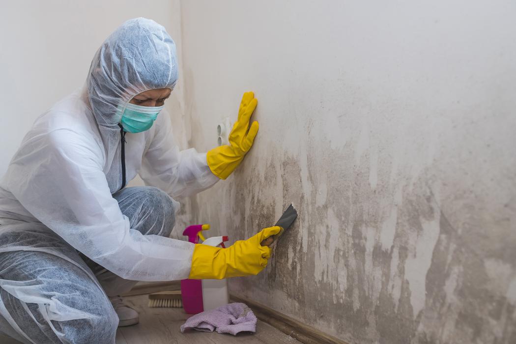 Restore Experts Inc - Pompano Beach, FL