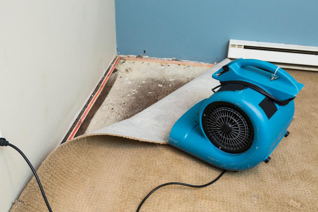 Restore Experts Inc - Pompano Beach, FL
