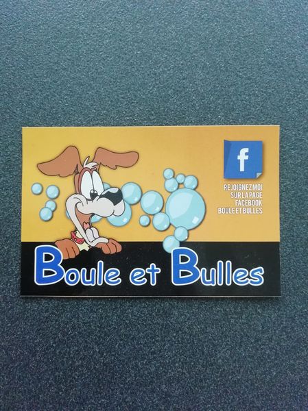 Boule Et Bulles animalerie (fabrication, vente en gros de matériel, fournitures)