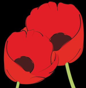 Guénola Vappreau Thérapeute soins hors d'un cadre réglementé