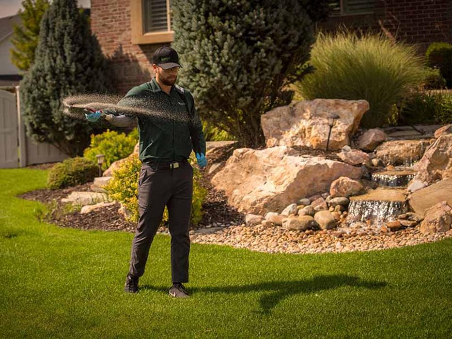 Bamboo Pest Control and Lawn Care - Fort Wayne, IN