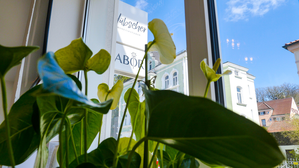 Galerie-Thumbnail