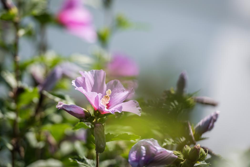 Ferienwohnung Gasteiger, Steinberg am Rofan in Steinberg