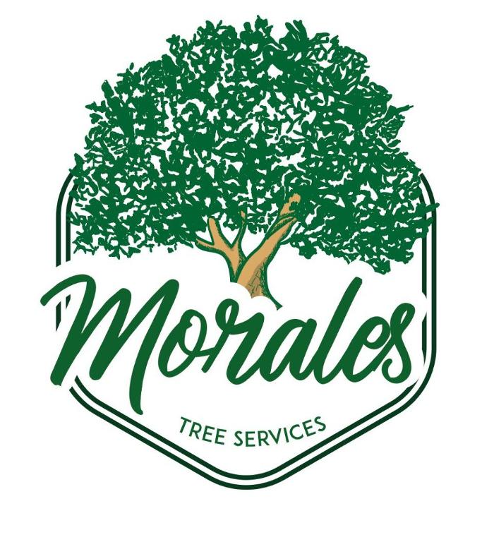 Morales Tree Service - Trenton, NJ