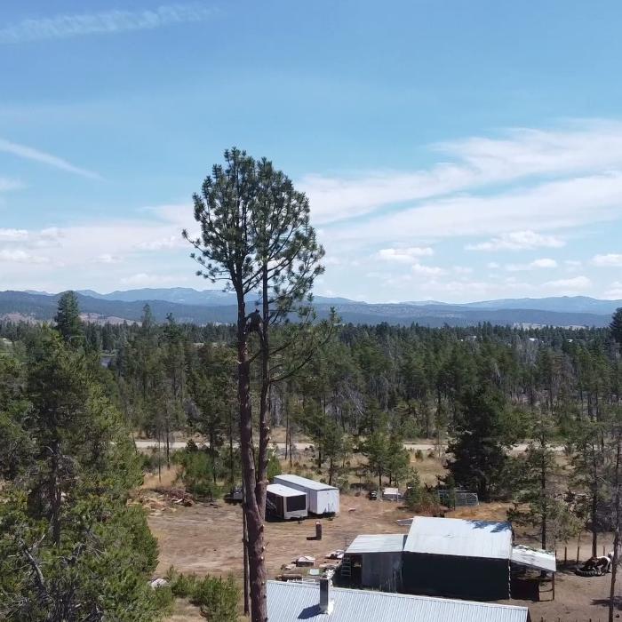 Amp Tree Works LLC - Boise, ID