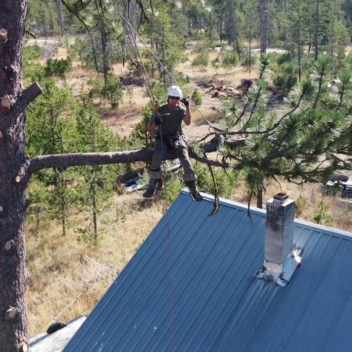 Amp Tree Works LLC - Boise, ID