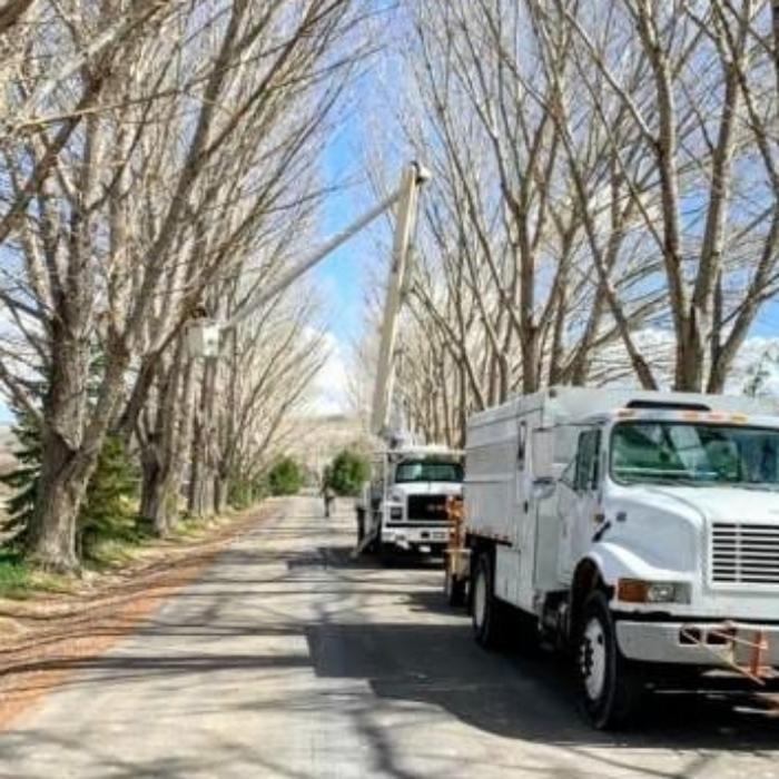 Amp Tree Works LLC - Boise, ID