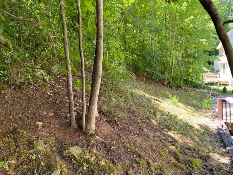 Smokey Group LLC - Knoxville, TN