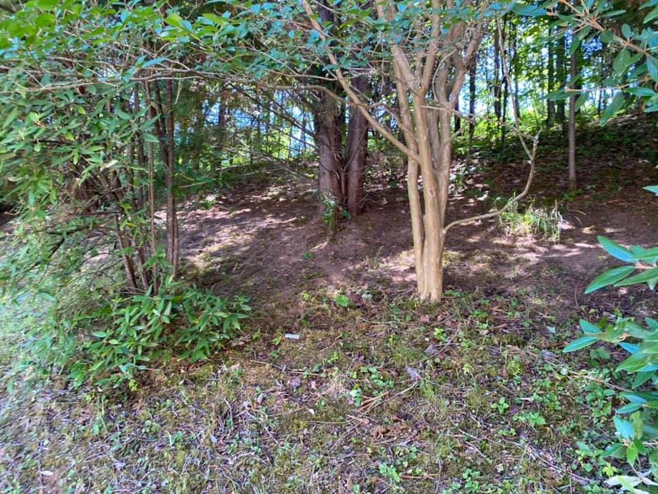 Smokey Group LLC - Knoxville, TN