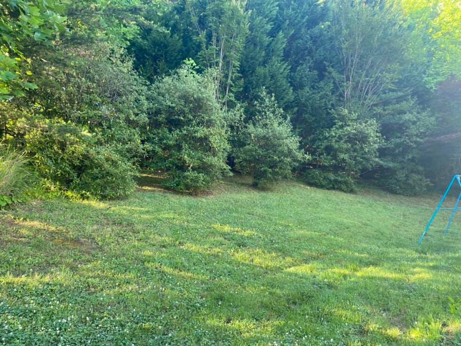 Smokey Group LLC - Knoxville, TN