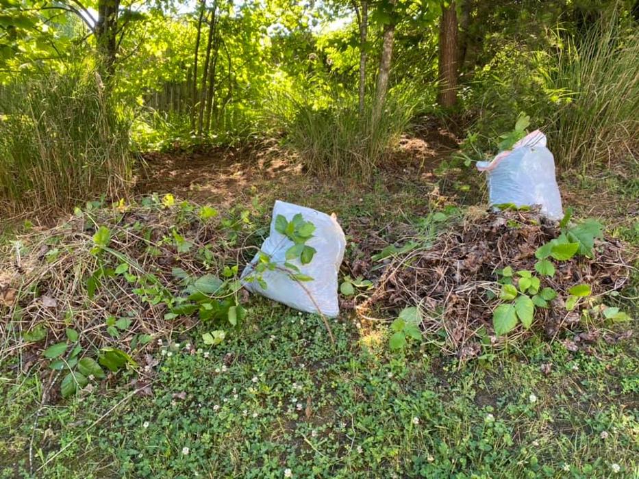 Smokey Group LLC - Knoxville, TN