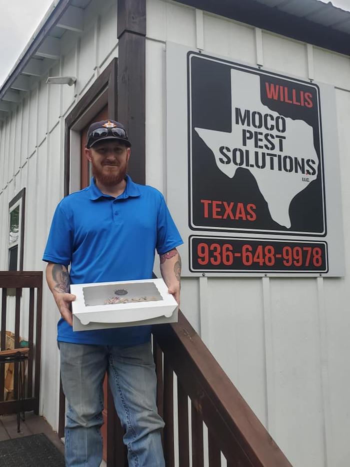 MOCO Pest Solutions - Willis, TX