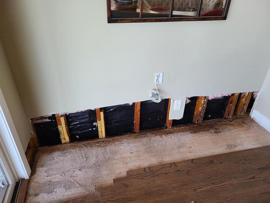 MOCO Pest Solutions - Willis, TX