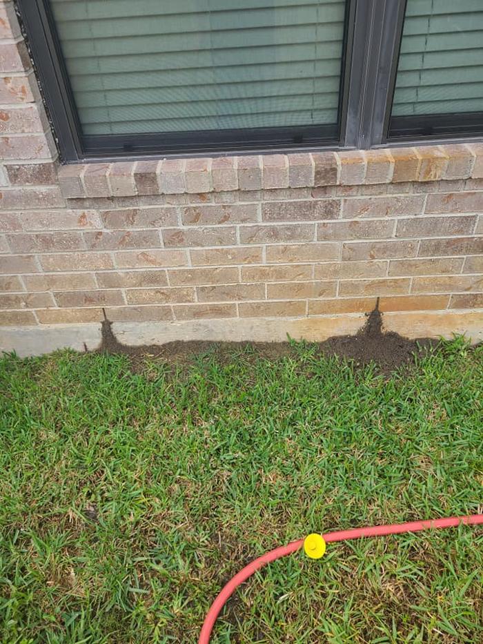 MOCO Pest Solutions - Willis, TX