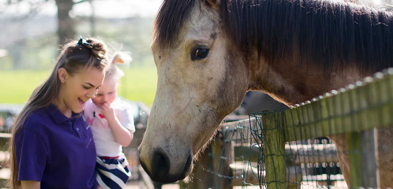 The Barn Nursery Dunmow 01371 831262