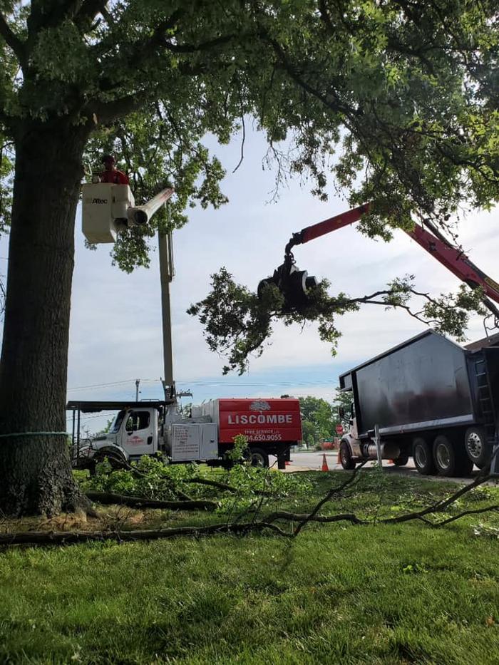 Liscombe Tree Service - Saint Charles, MO