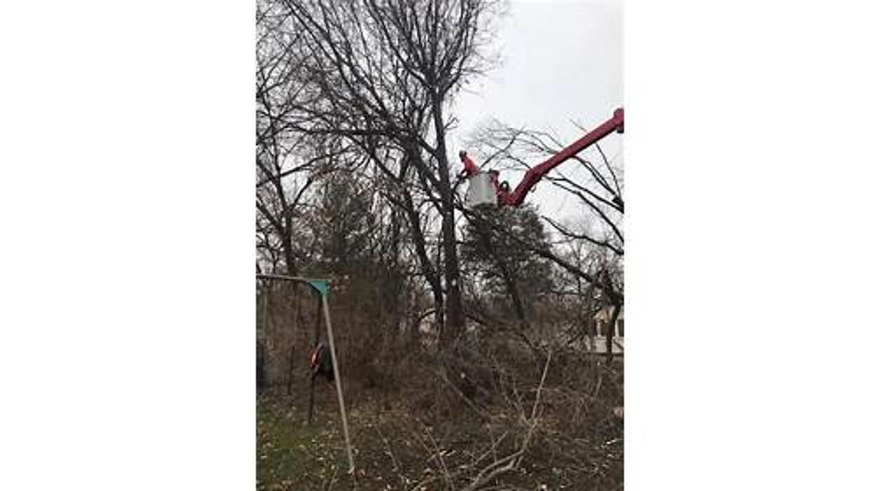 Liscombe Tree Service - Saint Charles, MO