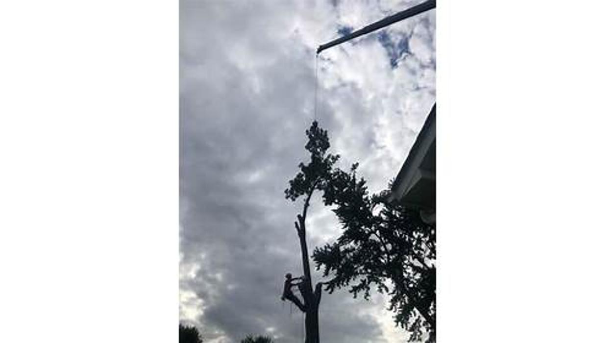 Liscombe Tree Service - Saint Charles, MO