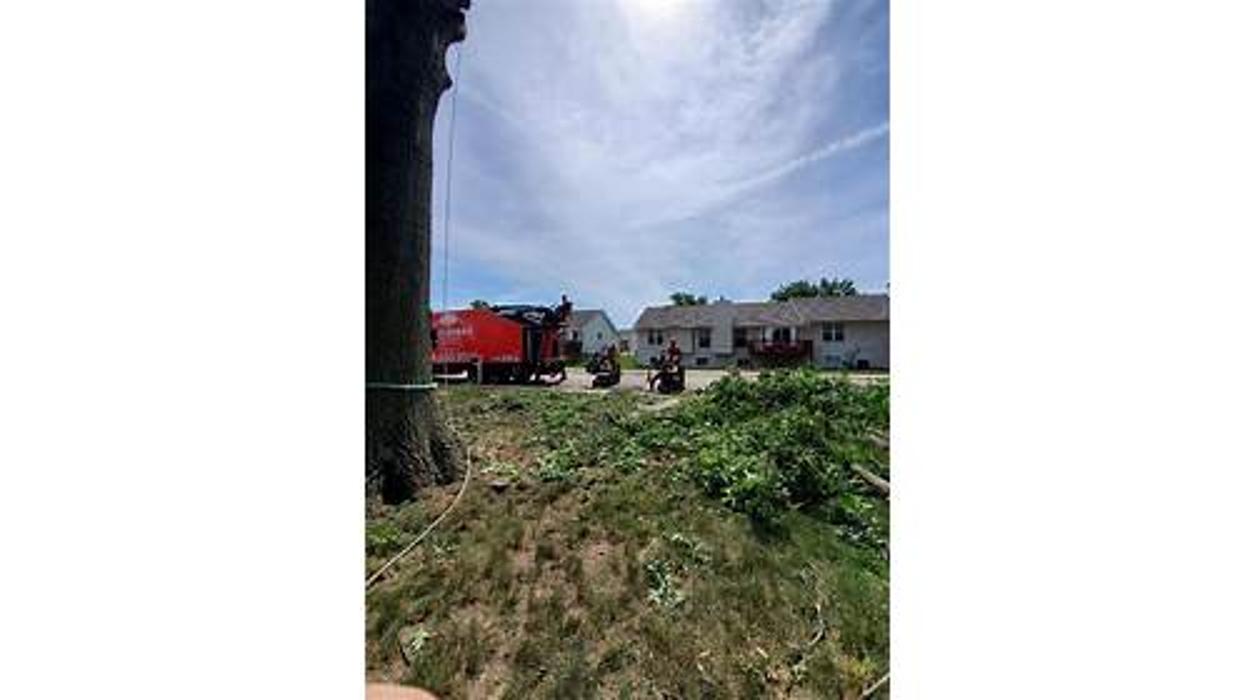 Liscombe Tree Service - Saint Charles, MO