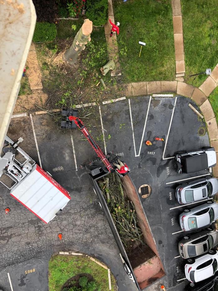 Liscombe Tree Service - Saint Charles, MO
