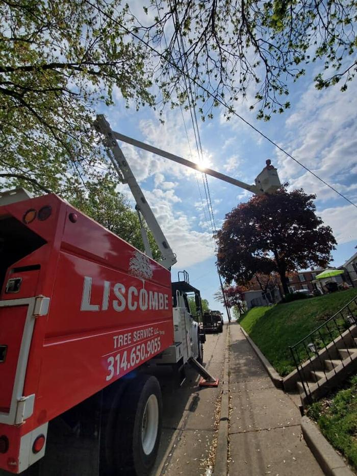 Liscombe Tree Service - Saint Charles, MO