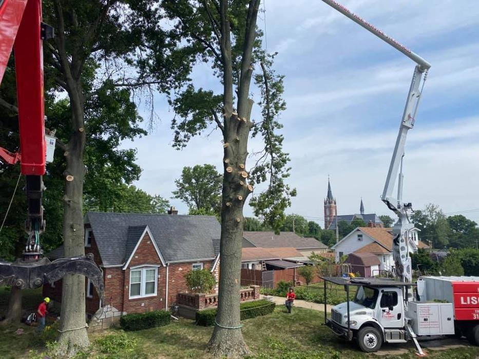 Liscombe Tree Service - Saint Charles, MO