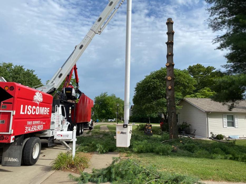 Liscombe Tree Service - Saint Charles, MO